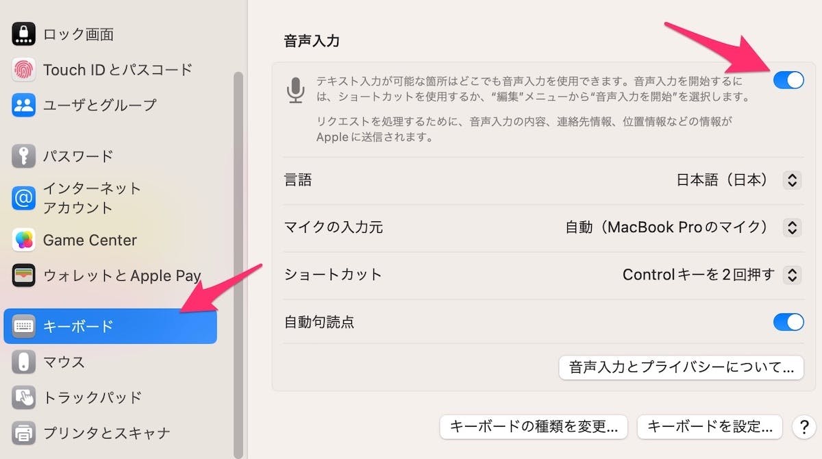 Mac voice input